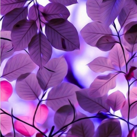 indigo_sky_9